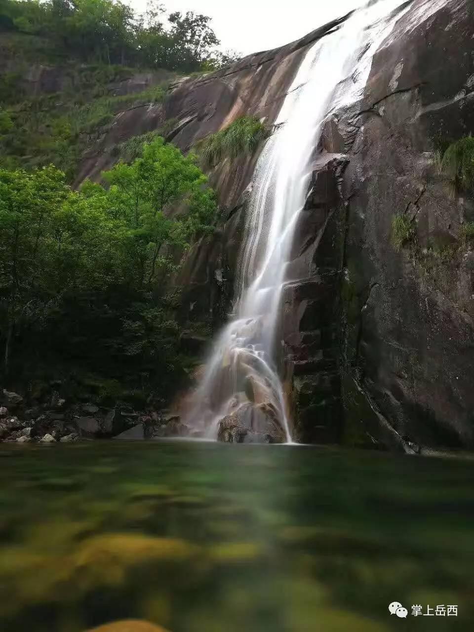 沙皮狗逃离